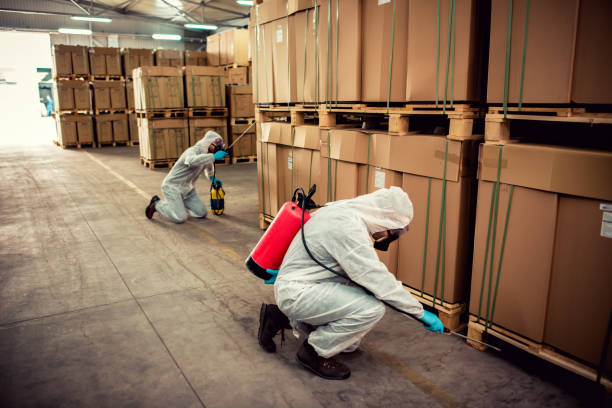 Best Pest Inspection Near Me  in Lafayette, CO