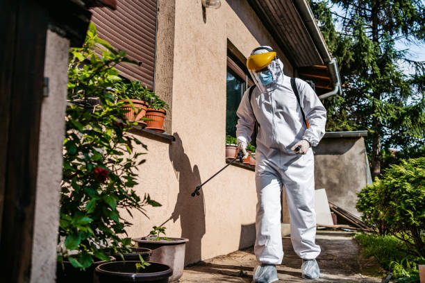 Best Local Pest Control Services  in Lafayette, CO