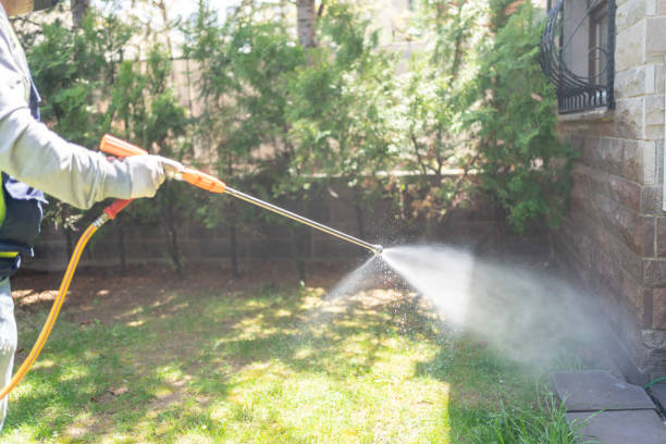 Best Pest Control for Businesses  in Lafayette, CO