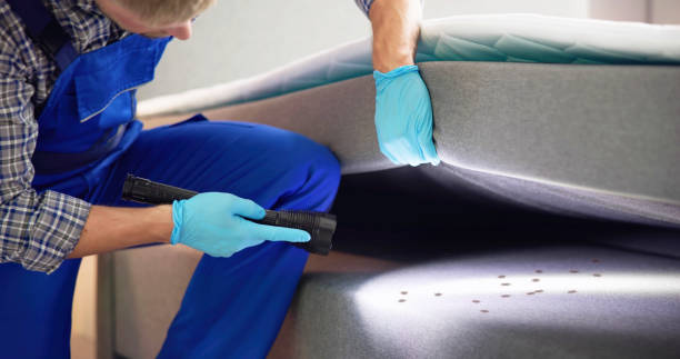 Best Residential Pest Control  in Lafayette, CO