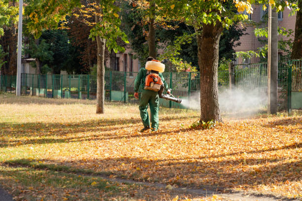 Best Mosquito Control Services  in Lafayette, CO