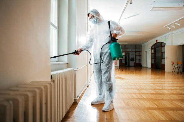 Best Flea Control Services  in Lafayette, CO