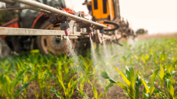 Best Commercial Pest Control Services  in Lafayette, CO